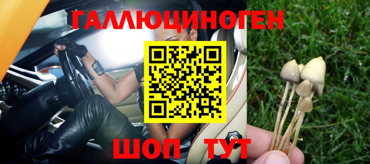 Галлюциногенные грибы GOLDEN TEACHER  Вход с VPN  Скопин  как найти   Галлюциногенные грибы Magic Shrooms 