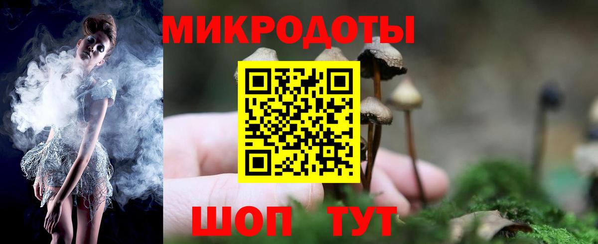 Псилоцибиновые грибы прущие грибы Скопин
